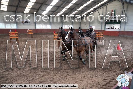 Mintakép 20260208-512