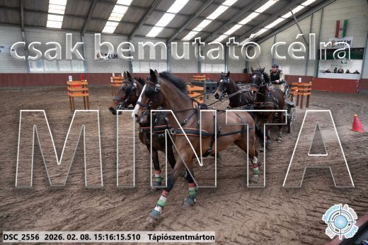 Mintakép 20260208-513