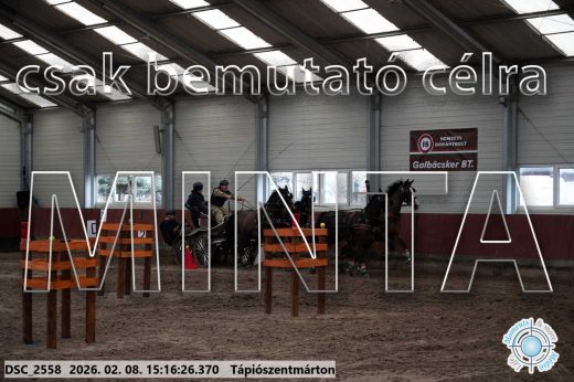 Mintakép 20260208-515