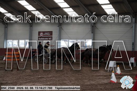 Mintakép 20260208-517