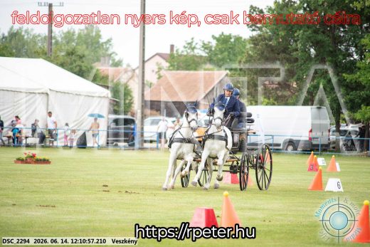 Mintakép 20260614-131