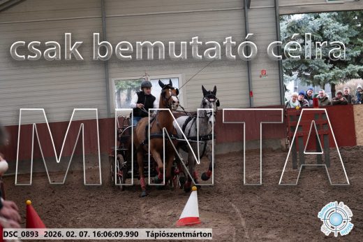 Mintakép 20260207-344