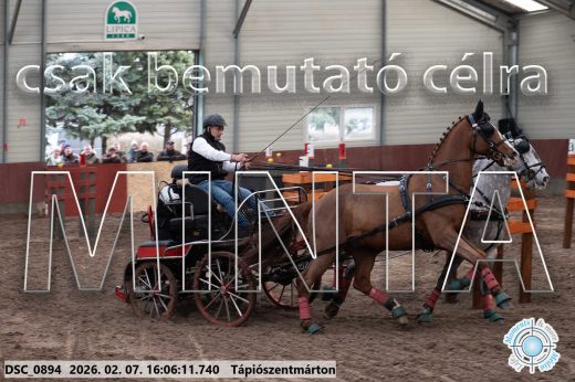 Mintakép 20260207-345