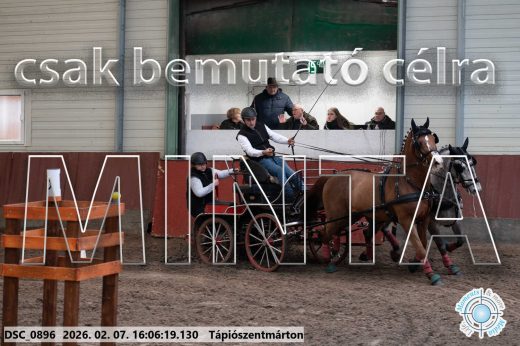 Mintakép 20260207-347