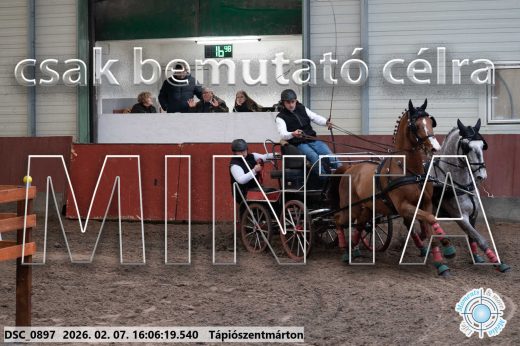 Mintakép 20260207-348