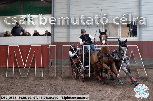 Mintakép 20260207-349
