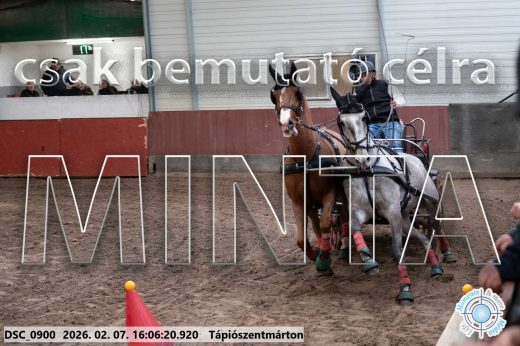 Mintakép 20260207-351
