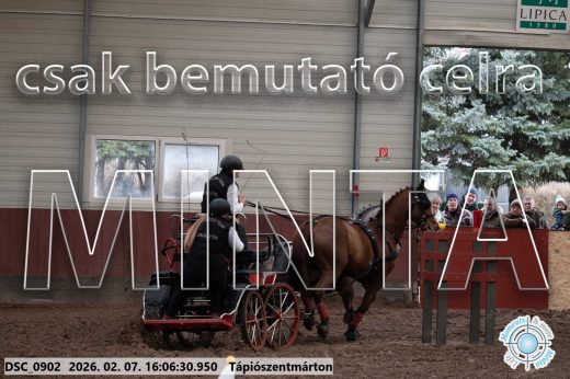 Mintakép 20260207-352