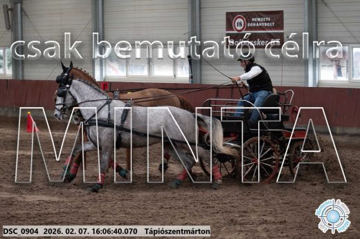 Mintakép 20260207-354