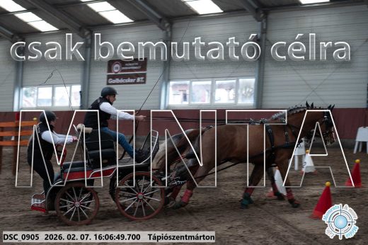 Mintakép 20260207-355