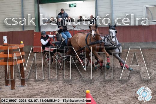 Mintakép 20260207-356