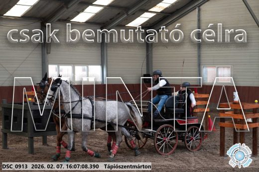 Mintakép 20260207-361
