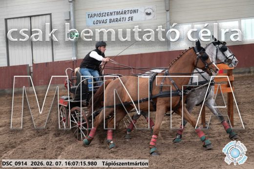 Mintakép 20260207-362