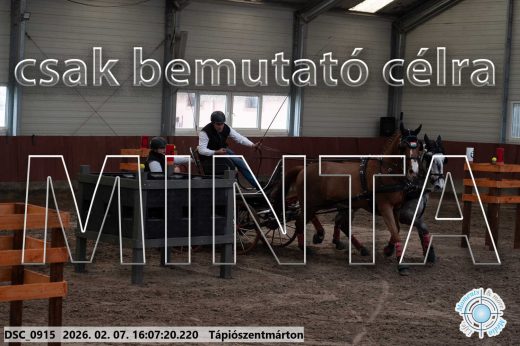 Mintakép 20260207-363