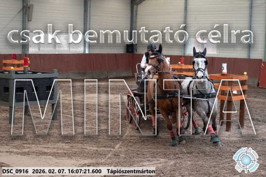 Mintakép 20260207-364
