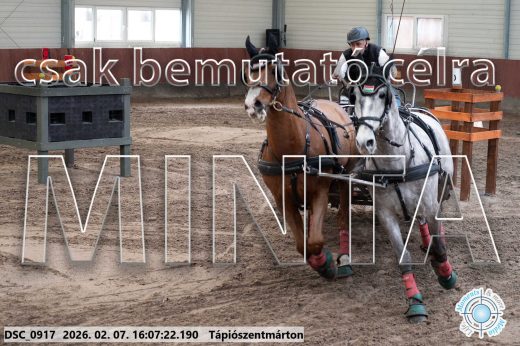 Mintakép 20260207-365