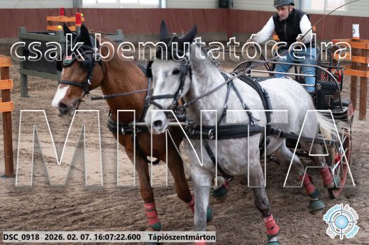 Mintakép 20260207-366