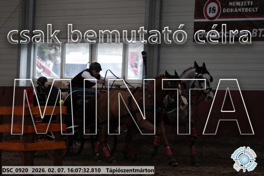 Mintakép 20260207-367