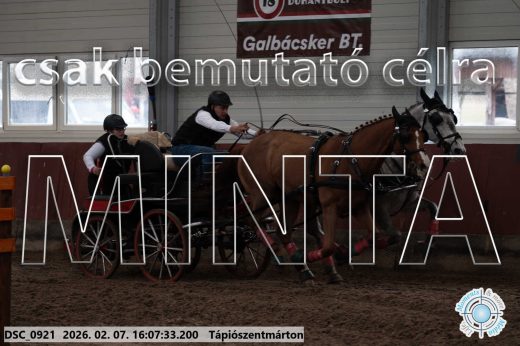 Mintakép 20260207-368