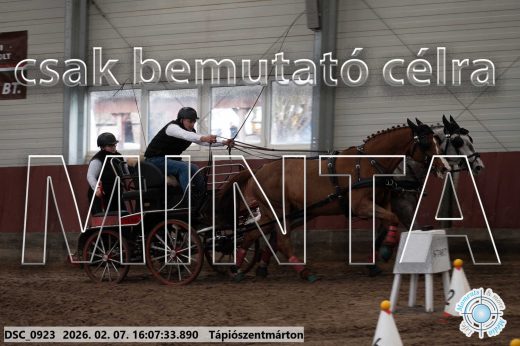 Mintakép 20260207-369