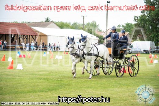 Mintakép 20260614-134