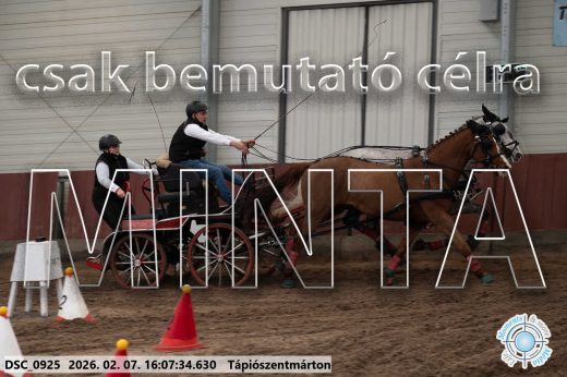 Mintakép 20260207-371