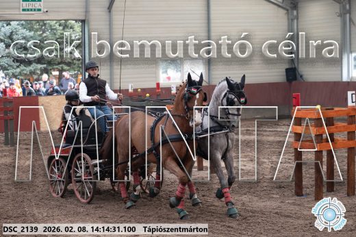 Mintakép 20260208-520