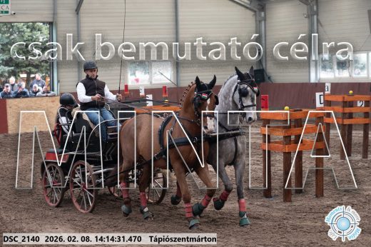 Mintakép 20260208-521