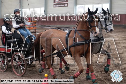 Mintakép 20260208-522