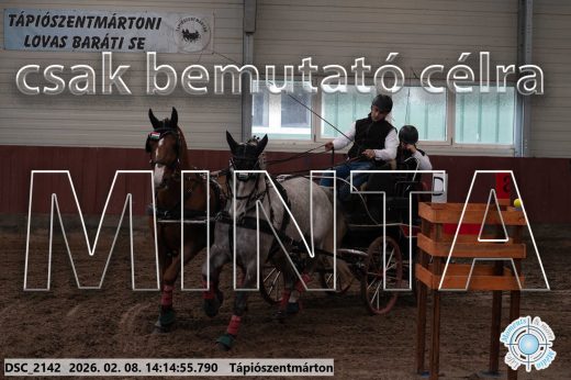 Mintakép 20260208-523