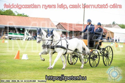 Mintakép 20260614-135