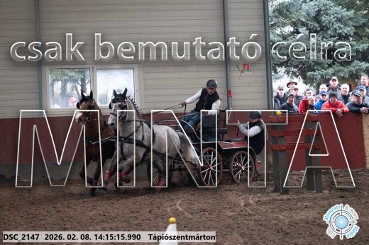 Mintakép 20260208-528