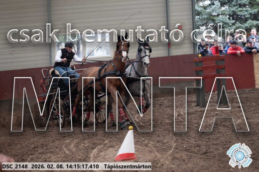Mintakép 20260208-529