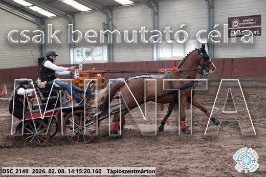 Mintakép 20260208-530
