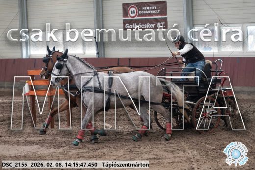 Mintakép 20260208-535