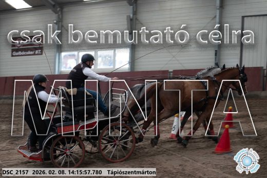 Mintakép 20260208-536