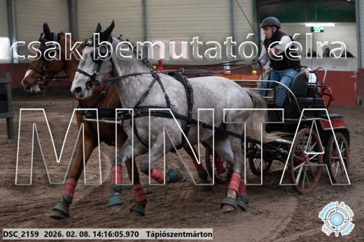Mintakép 20260208-538