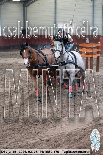 Mintakép 20260208-542