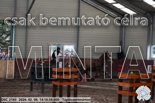 Mintakép 20260208-544