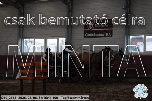 Mintakép 20260208-547
