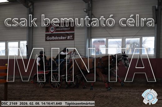 Mintakép 20260208-548