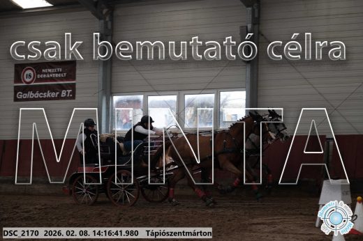 Mintakép 20260208-549