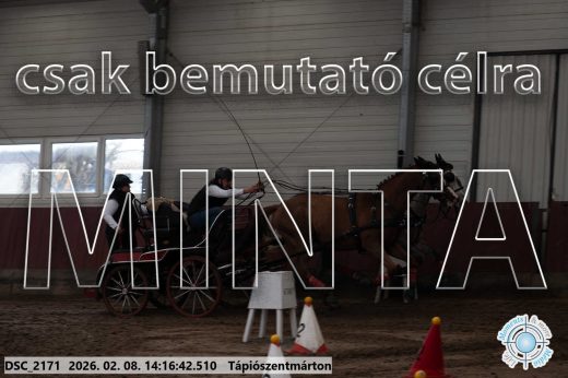 Mintakép 20260208-550