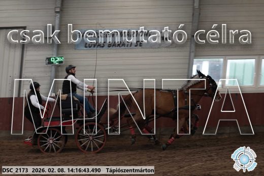 Mintakép 20260208-552
