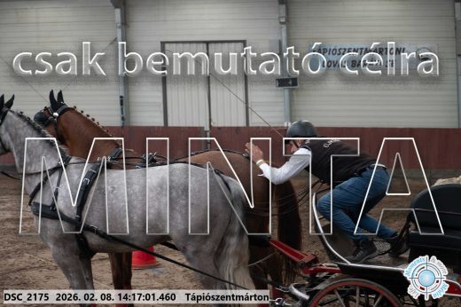 Mintakép 20260208-554