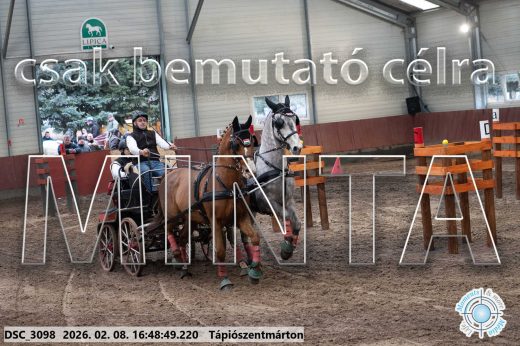 Mintakép 20260208-555