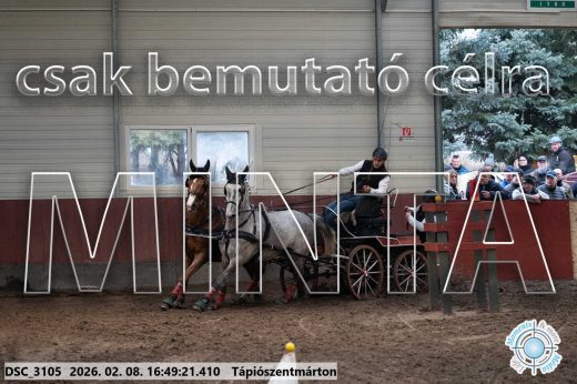 Mintakép 20260208-562