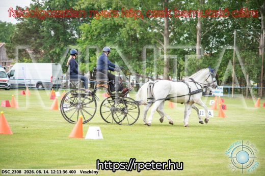 Mintakép 20260614-139