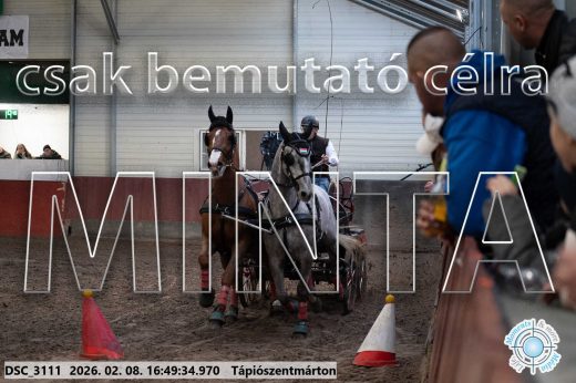 Mintakép 20260208-568