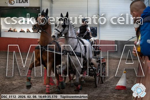 Mintakép 20260208-569